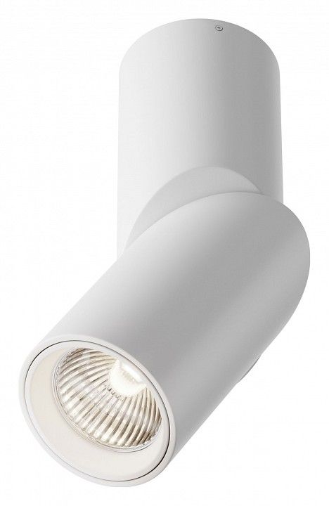 Светильник на штанге Maytoni Technical Dafne C027CL-L10W4K