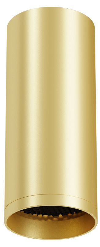 Накладной светильник Maytoni Technical  C010CL-01MG-N