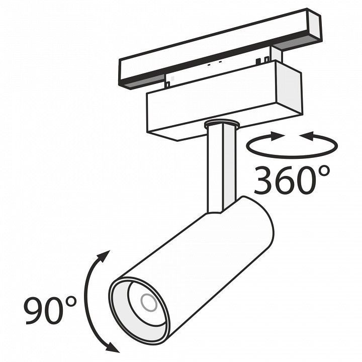 Светильник на штанге Maytoni Technical Фокус TR019-2-10W3K-B