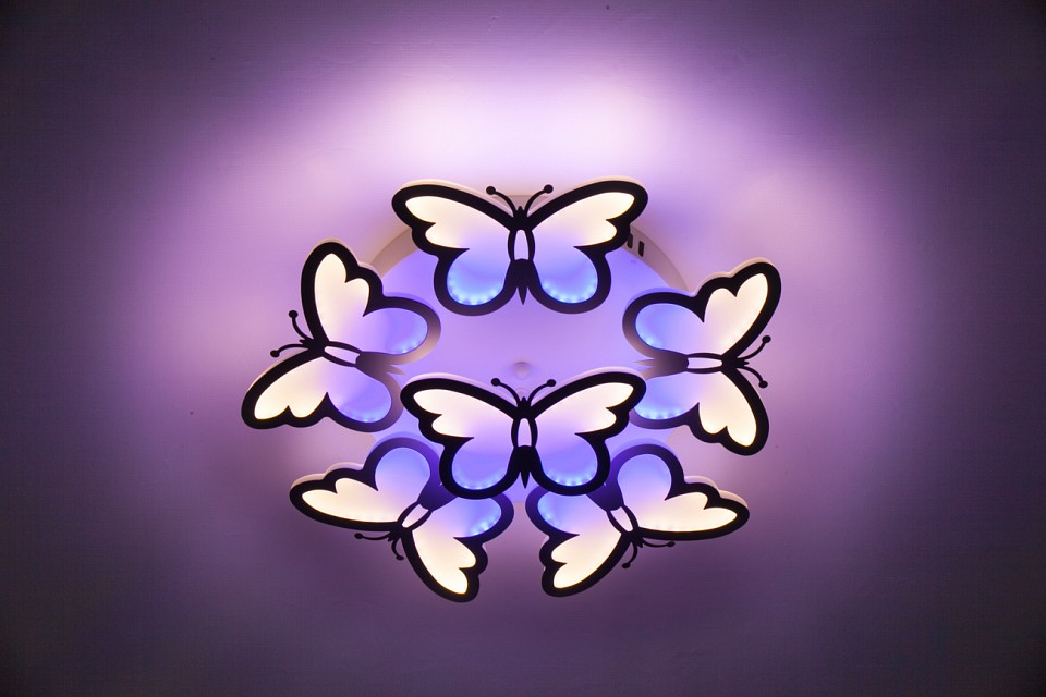 Накладной светильник Escada Butterfly 10205/5LED