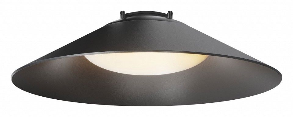 Подвесной светильник Maytoni Technical Кампана TR127B-12W3K-B