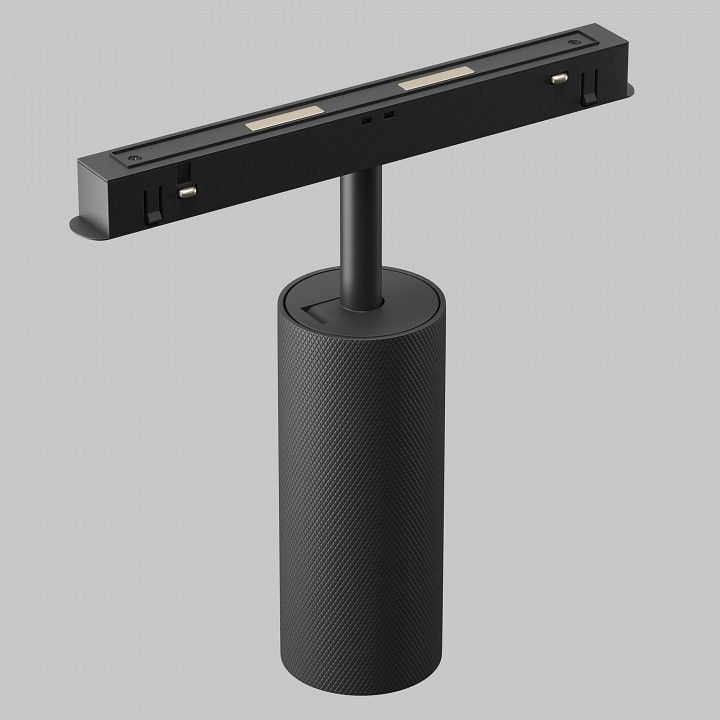 Светильник на штанге Maytoni Technical Мастер TR097-2-12W3K-M-BB