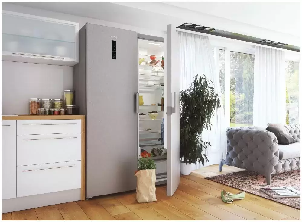 Однокамерный холодильник Gorenje R 6192 LX