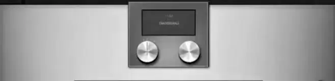 Духовой шкаф - пароварка Gaggenau BSP 251-111