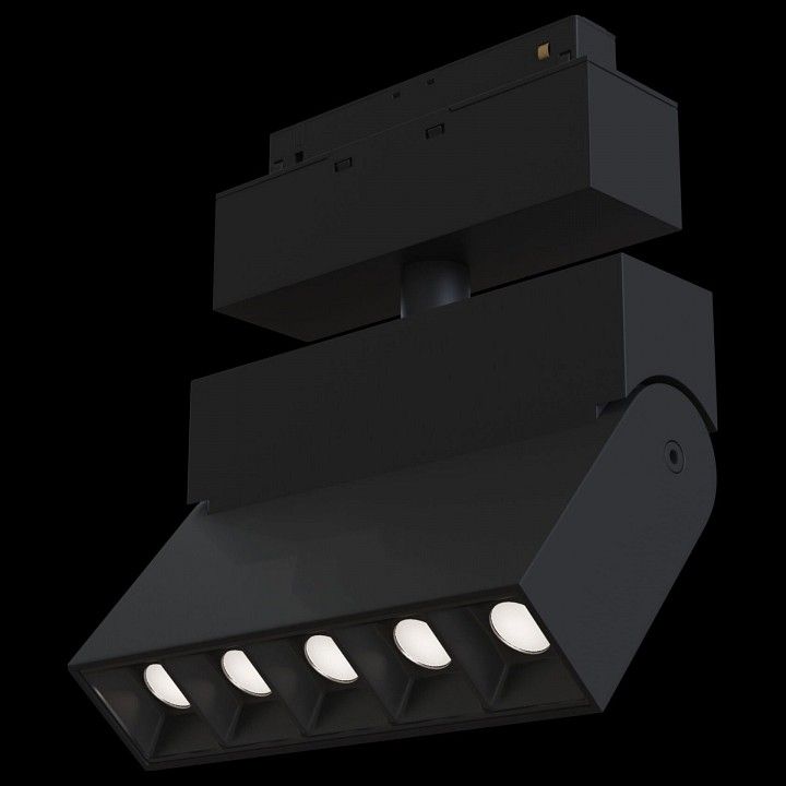 Светильник на штанге Maytoni Technical Points Rot TR015-2-10W3K-B