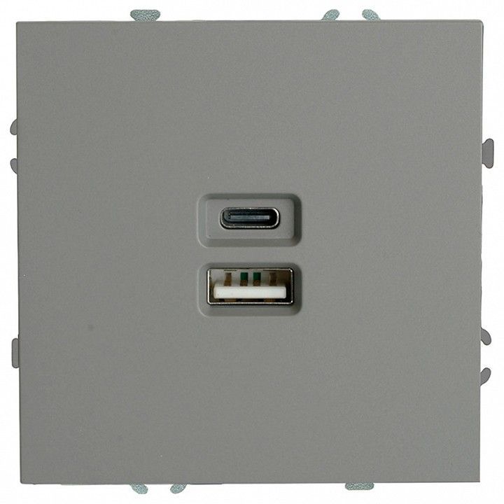 Розетка 2хUSB type A и C без рамки Stekker Эмили 49957