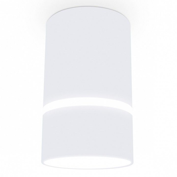 Накладной светильник Ambrella Light TN TN3411