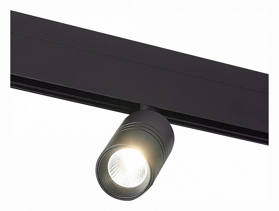 Светильник на штанге ST-Luce Lemmi ST365.436.07