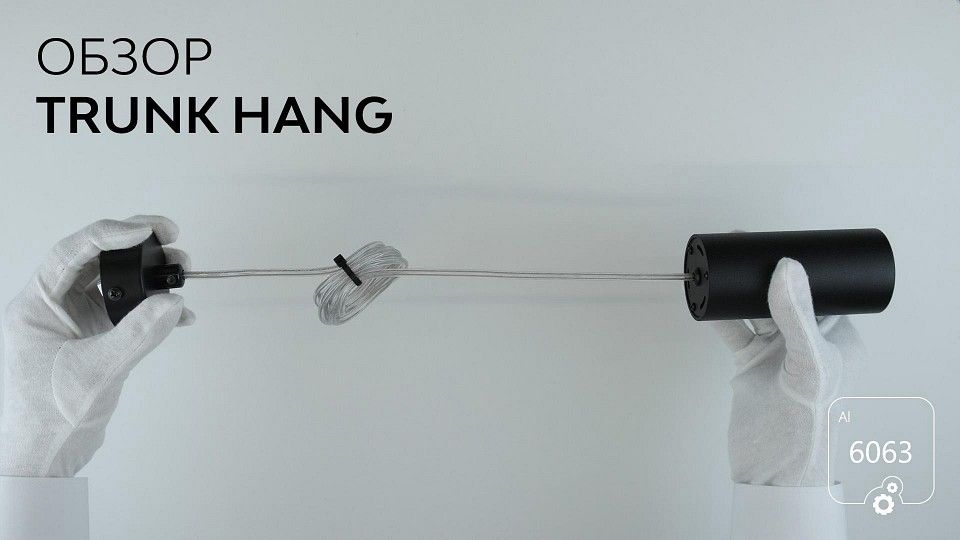 Подвесной светильник 6063 Trunk Hang 1130601