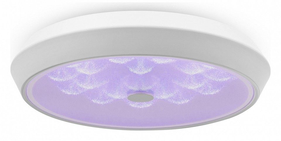 Накладной светильник Freya Элементы FR10012CL-L24W