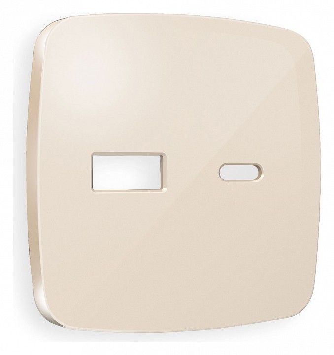 Накладка для розетки type A и C Ambrella Volt OMEGA OP3110