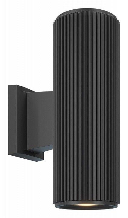 Светильник на штанге Maytoni Outdoor Рандо O419WL-02B