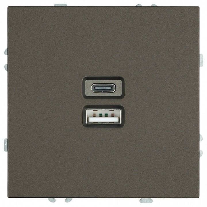 Розетка 2хUSB type A и C без рамки Stekker Эмили 49931