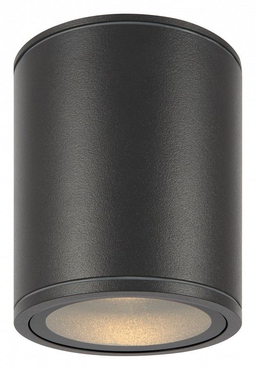 Накладной светильник Maytoni Outdoor Бар O306CL-L12GF