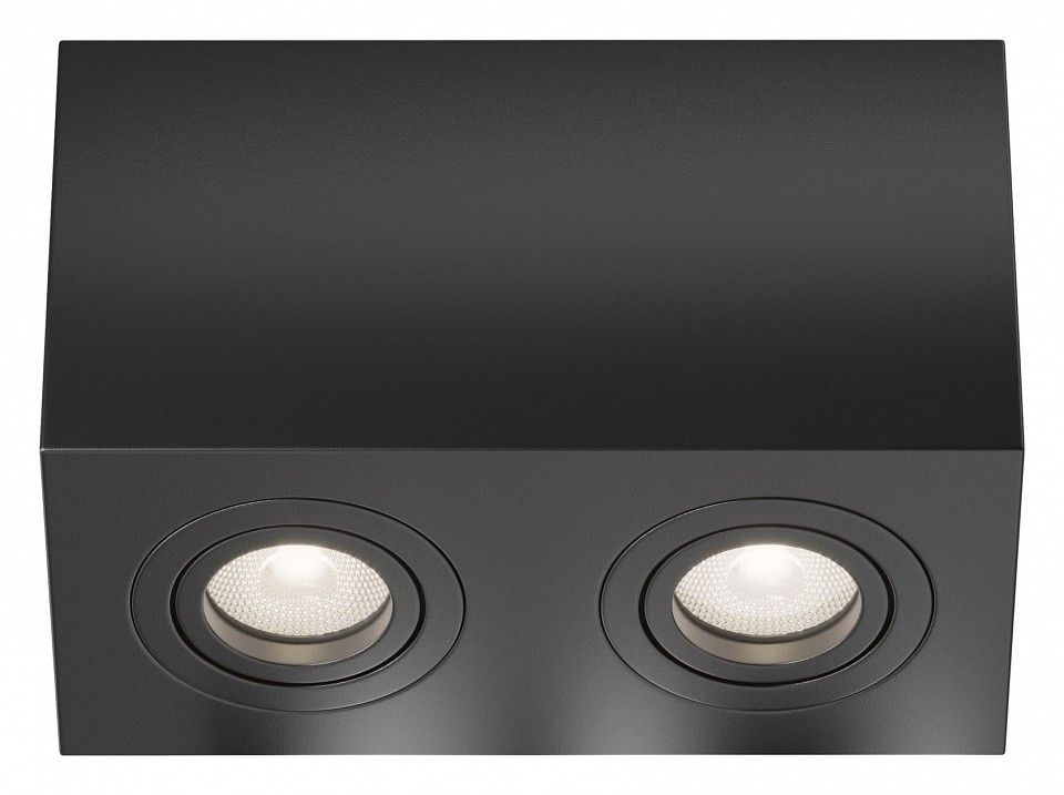 Накладной светильник Maytoni Technical Атом C017CL-02B