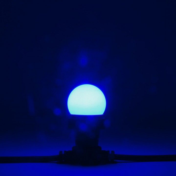 Лампа светодиодная PROFESSIONAL E27 220В 2Вт LAMP1-2B