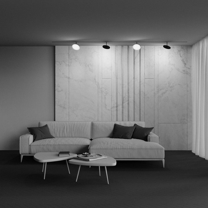 Светильник на штанге Maytoni Technical Plato TR131-2-15W4K-B