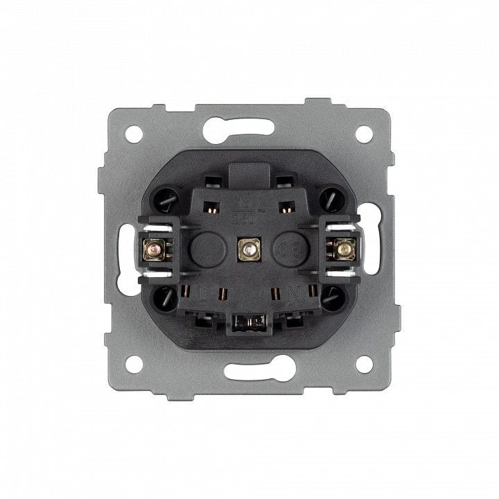 Розетка с заземлением, без рамки Arlight SCT 049816