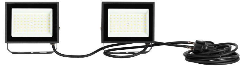 Настенный прожектор Эра  LPR-023-0-65K-2х50