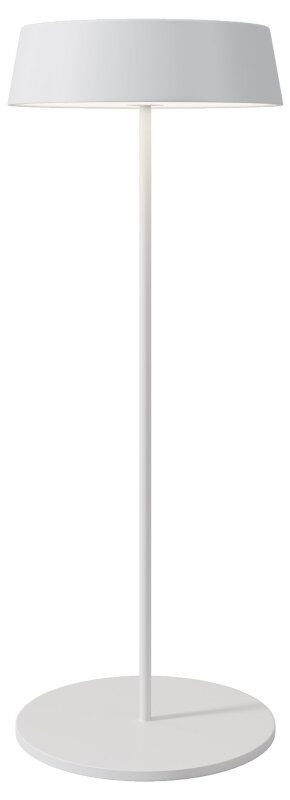 Наземный низкий светильник Maytoni Outdoor Porto O540TL-L2WCCT