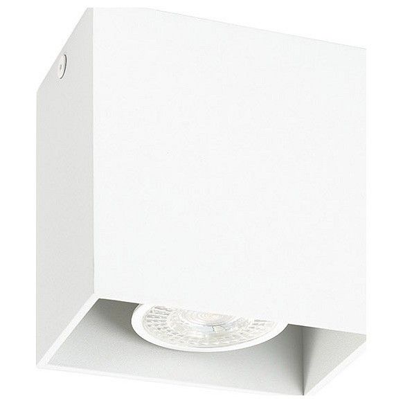 Накладной светильник Denkirs DK2005 DK2027-WH Накладной светильник Denkirs DK2005 DK2027-WH