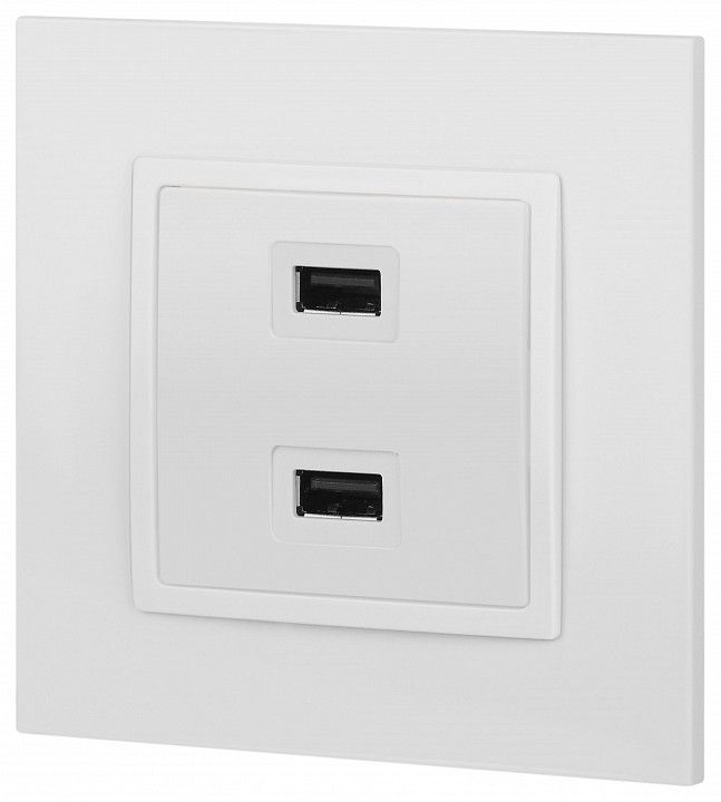 Розетка 2хUSB type A без рамки Эра Эра Elegance 14-4110-01