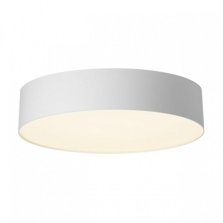 Накладной светильник Citilux BART CL755290
