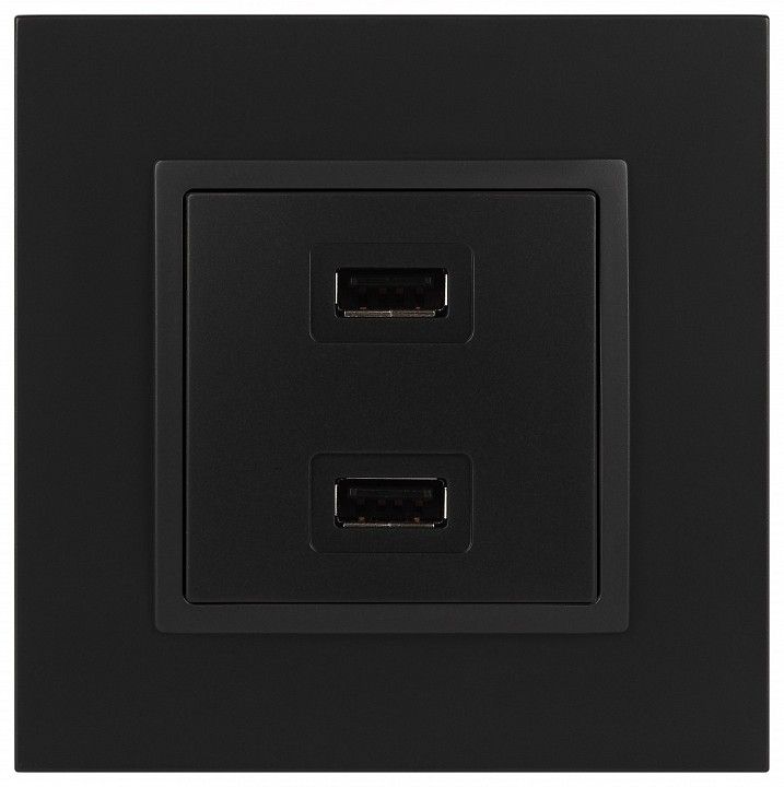 Розетка 2хUSB type A без рамки Эра Эра Elegance 14-4110-05