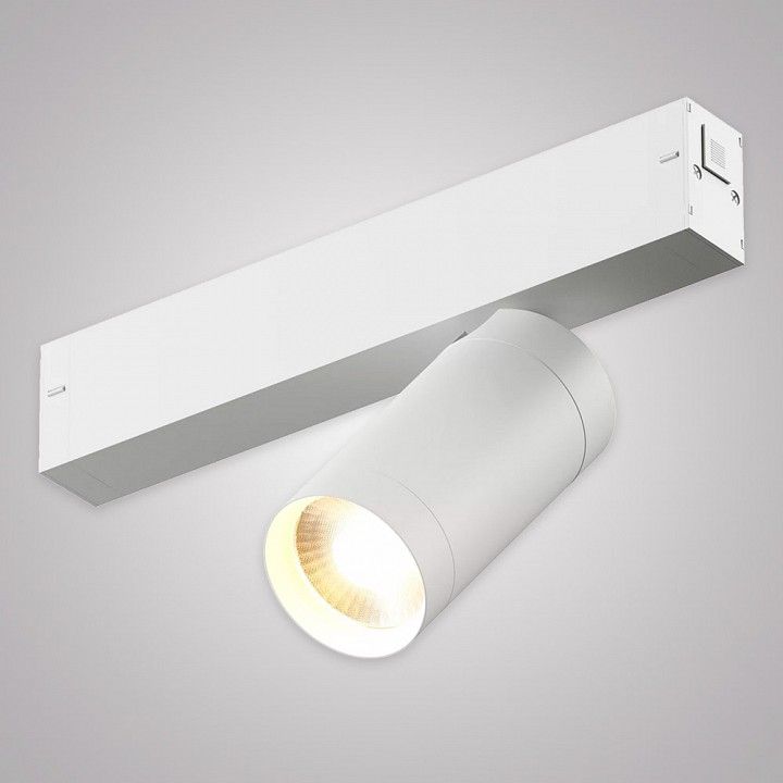 Светильник на штанге AM-Group SMART CYLINDER AM527 WH-220V-20W SMART