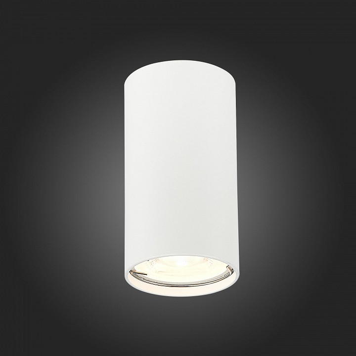 Накладной светильник ST-Luce Simplus ST110.507.01