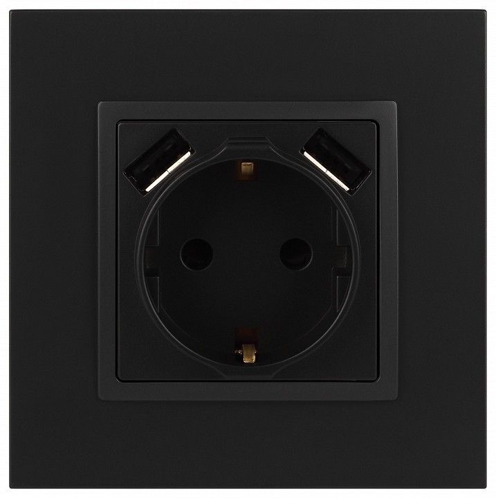 Розетка с заземлением и со шторкой и 2хUSB, без рамки Эра Эра Elegance 14-4109-05
