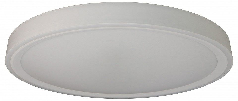 Накладной светильник Zortes Bella ZRS.1200.09