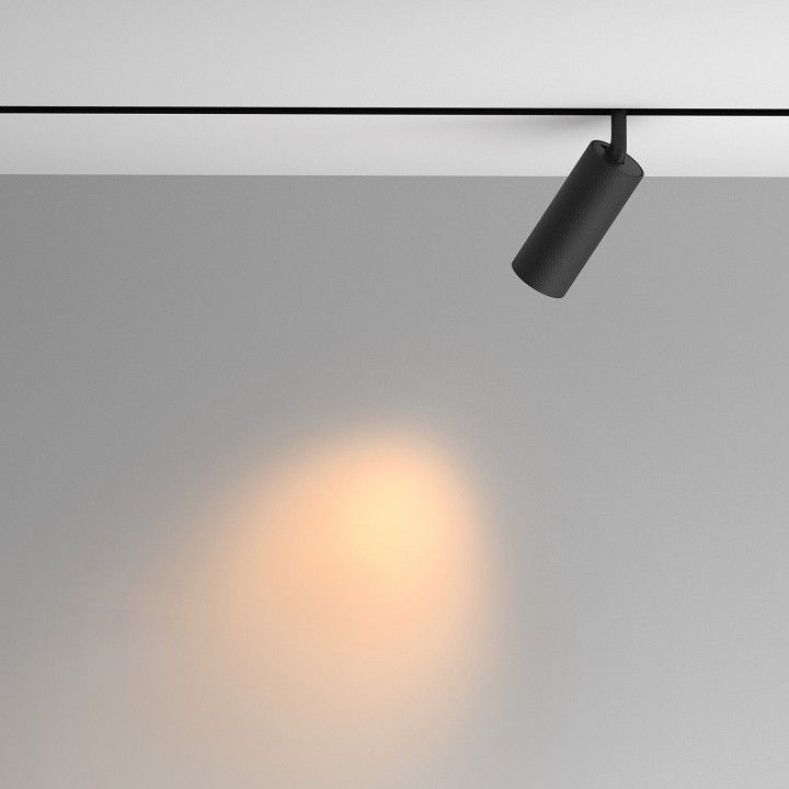 Светильник на штанге Maytoni Technical Мастер TR097-2-12W2.7K-M-BB
