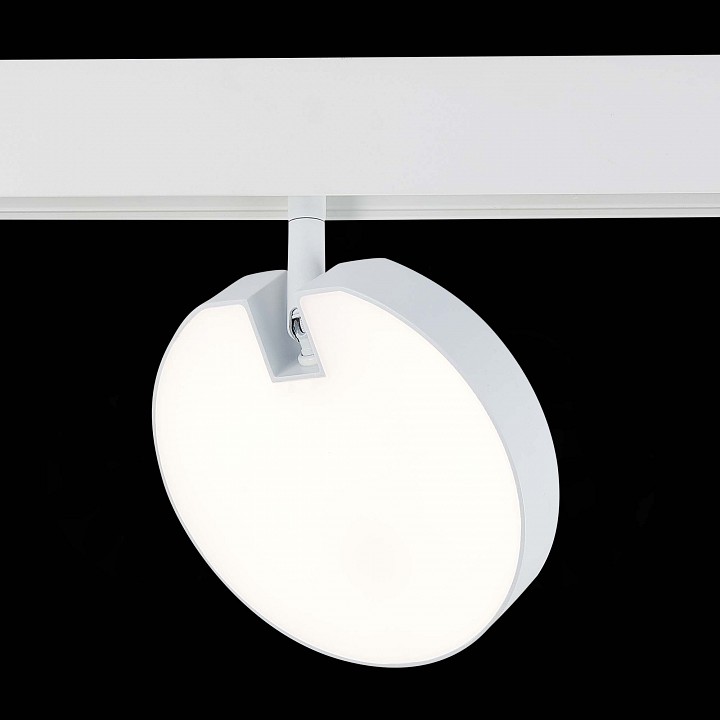 Светильник на штанге ST-Luce Tale ST359.546.15