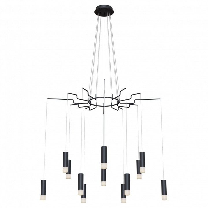 Подвесная люстра Maytoni Davida MOD035PL-12B