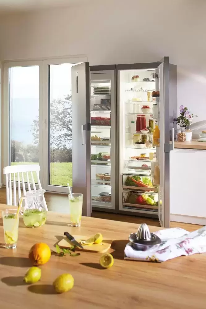 Однокамерный холодильник Gorenje R 6192 LX