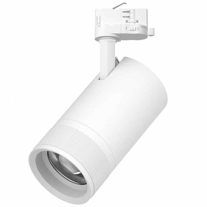 Светильник на штанге Lightstar Canno Pro C4406QT