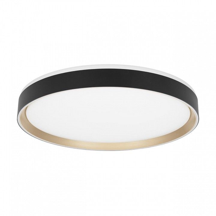 Накладной светильник Citilux BOSS CL751451G