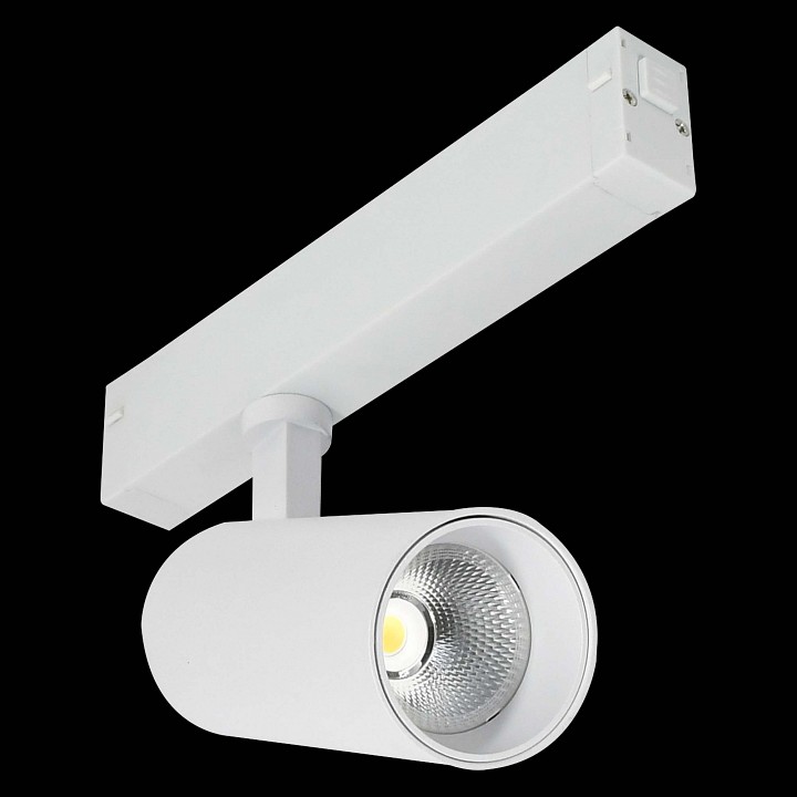 Светильник на штанге ST-Luce SKYLINE 220 ST660.596.20H