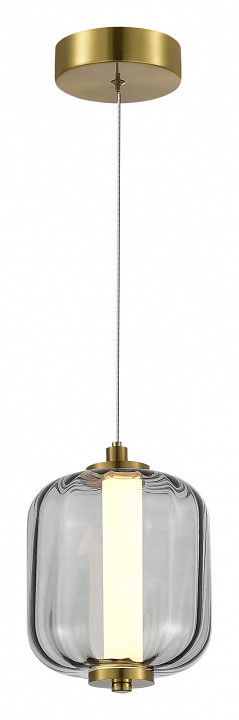 Подвесной светильник ST-Luce Summer SL1193.313.01