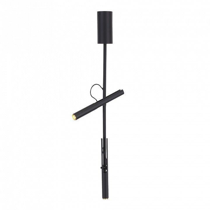 Светильник на штанге ST-Luce LILT SL6210.403.02