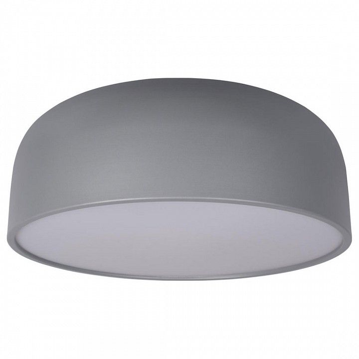 Накладной светильник Loft it Axel 10201/480 Grey