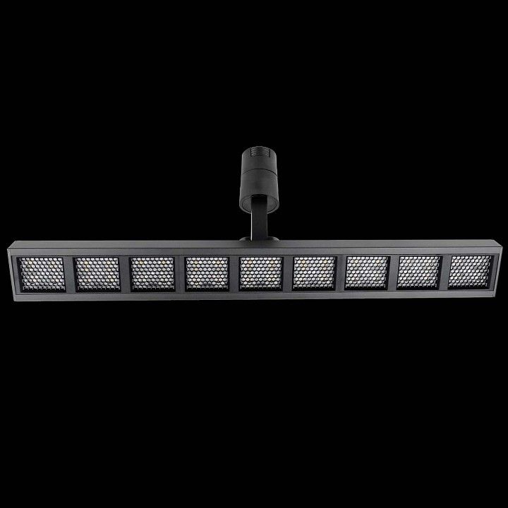 Светильник на штанге Lightstar Due Hermes 270147
