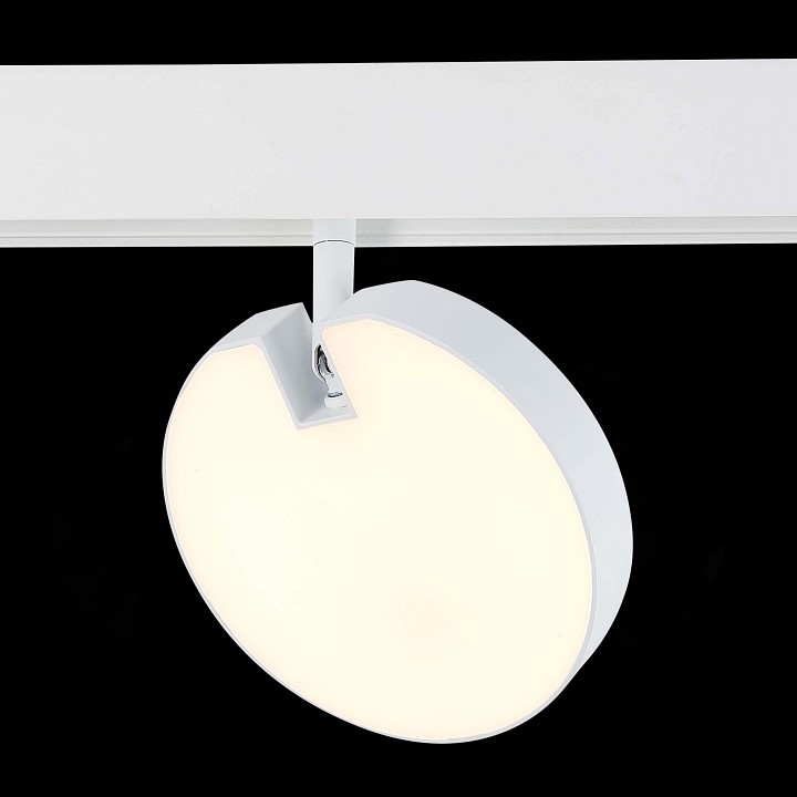 Светильник на штанге ST-Luce Tale ST359.536.15