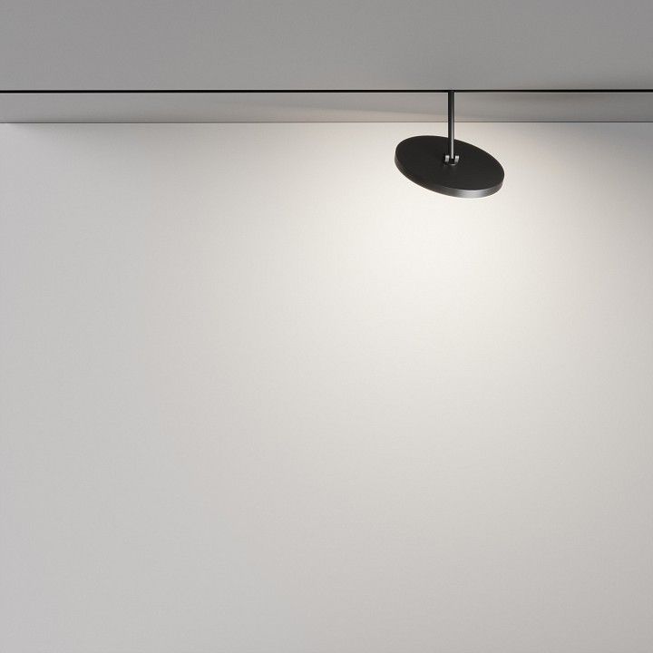 Светильник на штанге Maytoni Technical Plato TR131-2-15W4K-B