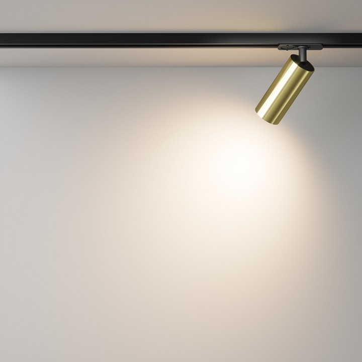 Светильник на штанге Maytoni Technical Focus LED TR021-1-12W3K-W-BBS