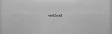 Морозильная камера Vestfrost VF391SB new