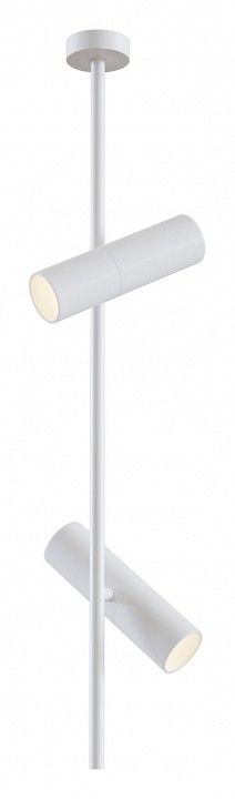 Светильник на штанге Maytoni Technical Элти C021CL-02W
