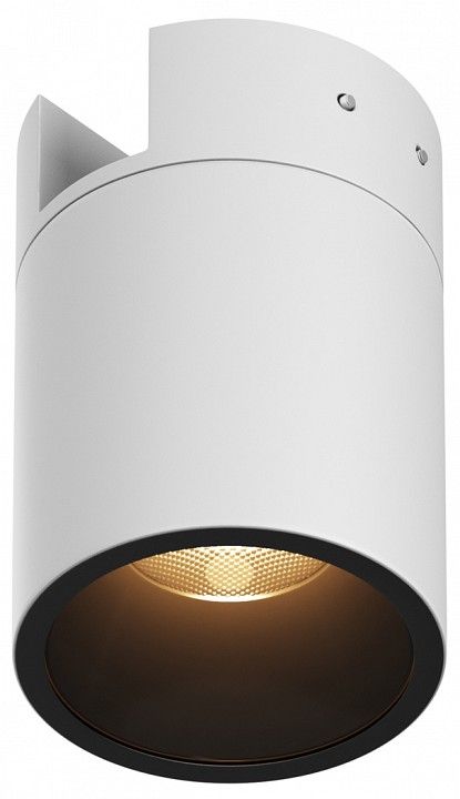 Накладной светильник Maytoni Outdoor Альфа O-TR01-2-S-16WW3K