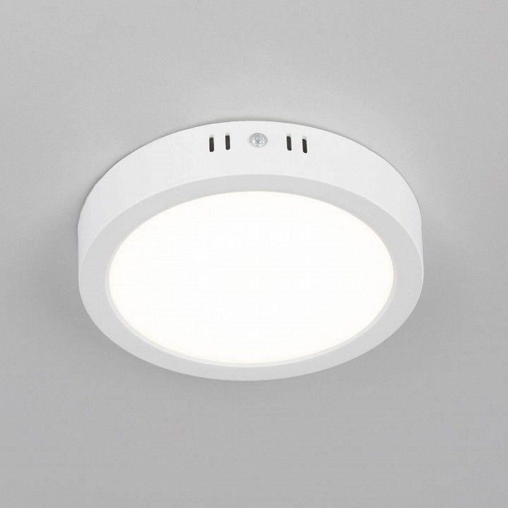 Накладной светильник Citilux Галс CL5516N
